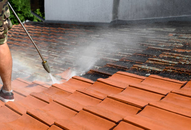 Best House Pressure Washing  in Taylor, MI